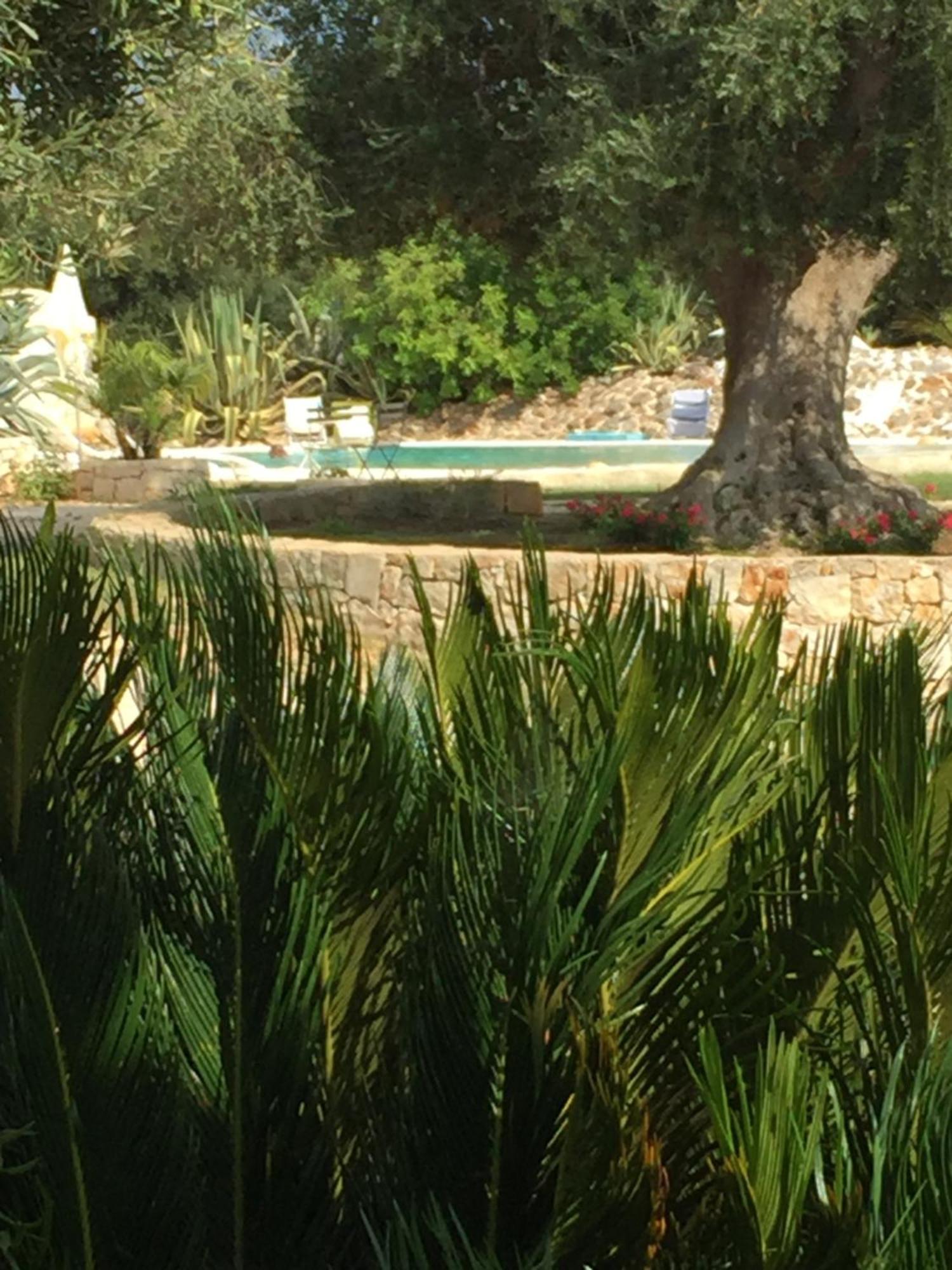 I Love Trullo Apartment Ostuni Exterior foto